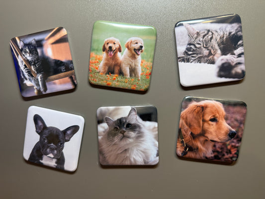 Set of 6